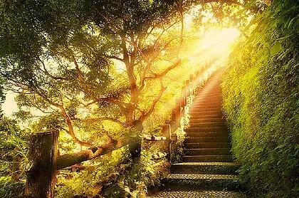 Path to Heaven Forest